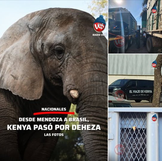 Imagen Noticia