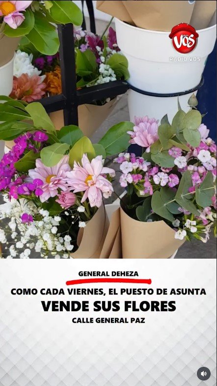 Imagen Noticia