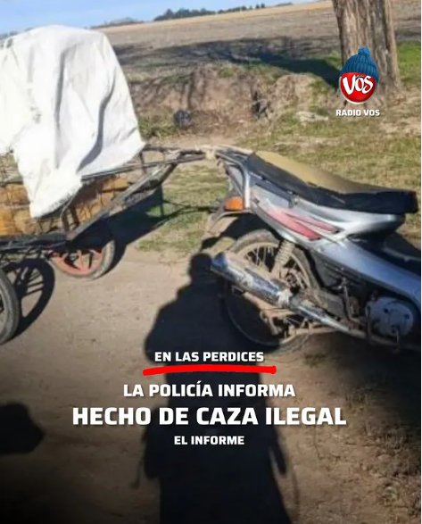 Imagen Noticia