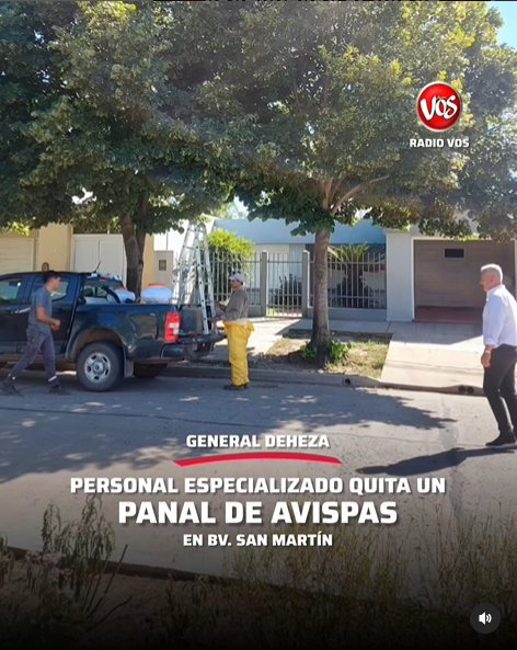 Imagen Noticia