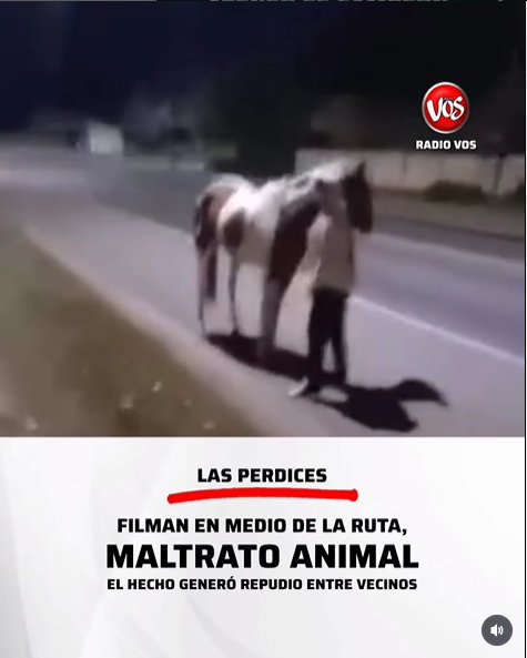 Imagen Noticia