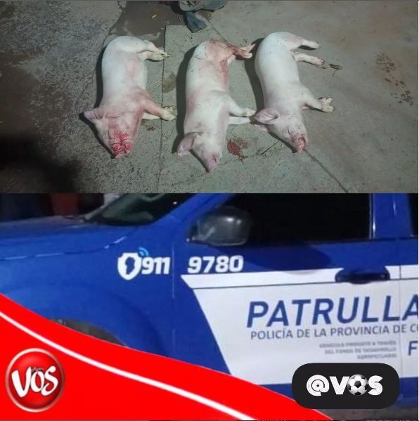 Imagen Noticia